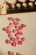 Гудзики сердечки рожеві 11.5мм ГС-18 фото 3