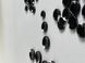 Гудзики чорні глянцеві 25мм ПГ-111-40L фото 6